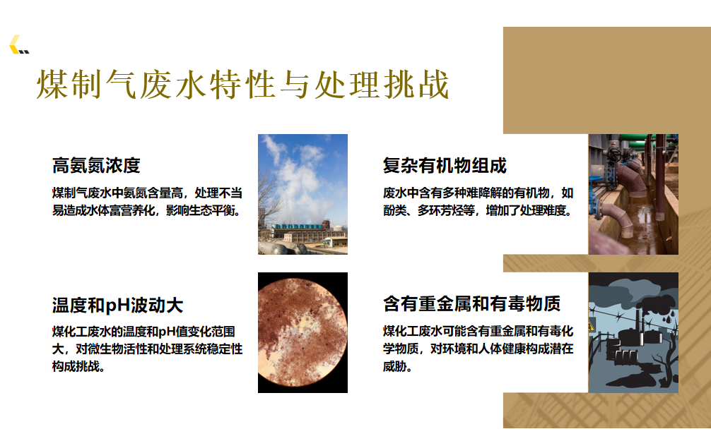 厌氧氨氧化技术 厌氧氨氧化技术