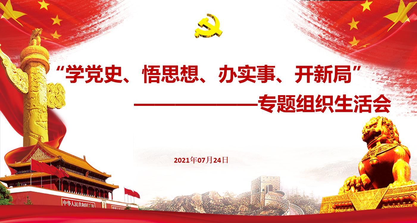 专题组织生活会